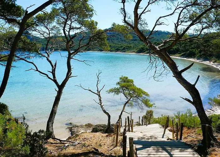 Lejlighed Hyeguy Pour 3 Personnes En Rez De Jardin Avec Piscine Commune A Giens *