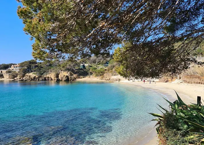 Hyeguy Pour 3 Personnes En Rez De Jardin Avec Piscine Commune A Giens Апартаменти